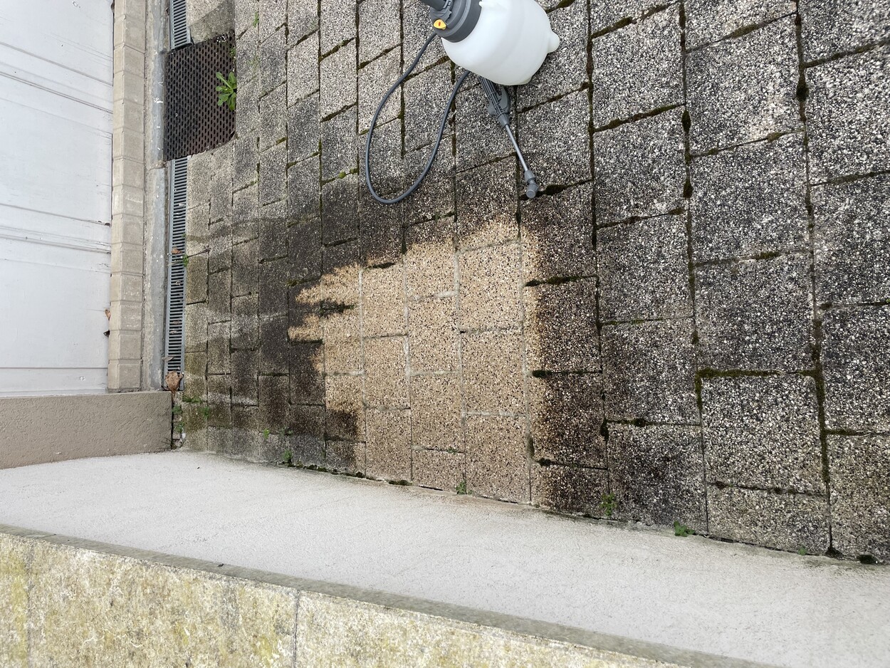 Réalisation cours et allées - Photo 1